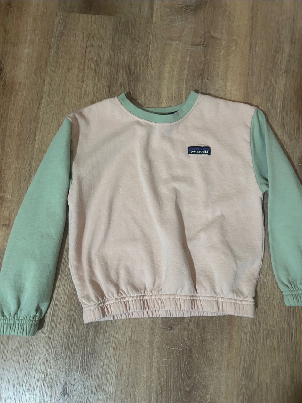 Patagonia Kids Pink Body with Mint Green Sleeves Crew Sweatshirt